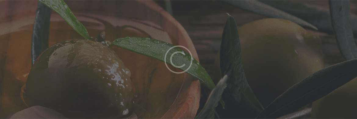 banner-3.jpg