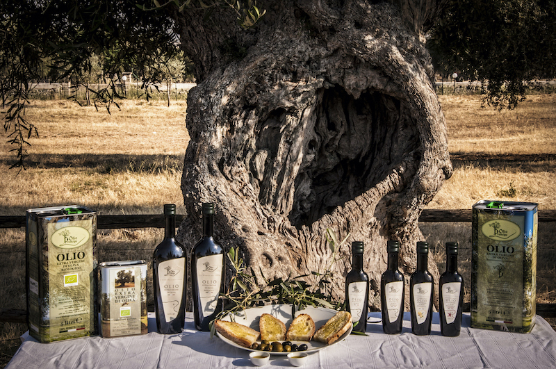 olio-tradizionale olio-tradizionale