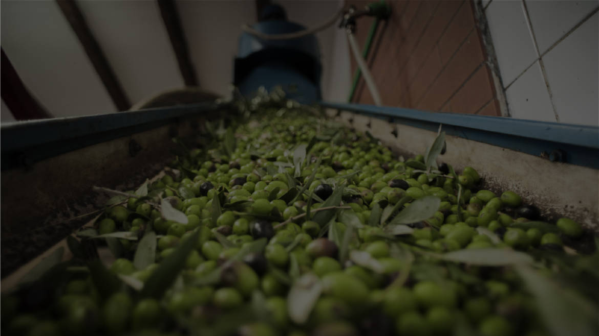 sfondo-olive-03.jpg