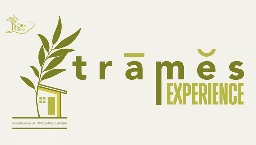 TRAMES EXPERIENCE